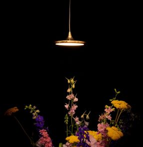 Zieta Luna Lighting