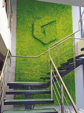 Greenmood Reindeer Moss Acoustic Green Wall.