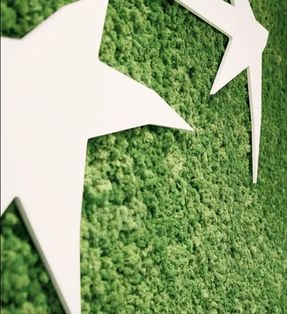 Greenmood Reindeer Moss Acoustic Green Wall.