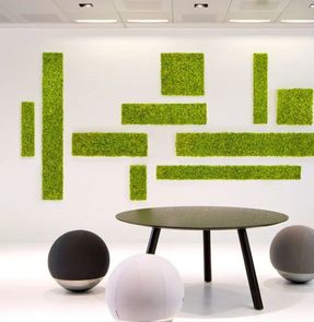 Greenmood Reindeer Moss Acoustic Green Wall.