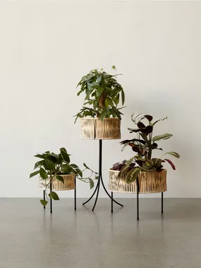 Audo Umanoff Planter