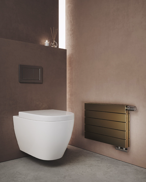 Vasco Viola-a Horizontal H2-ro 1 Radiator