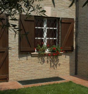 Dibi Briareo Windows