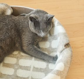 Miacara Flora Cat Blanket