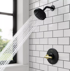 Pfisterfaucets Capistrano Shower