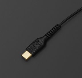 Marshall Mode USB-C Earphones