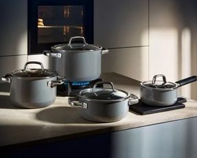 Wmf Wmf Fusiontec Mineral Roasting Pan 28cm Platinum With Lid