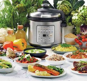 Breville The Fast Slow Go™ Multi Cooker