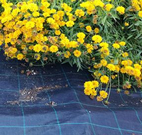 Tenax Cover Pro Professional Polypropylene Fabric