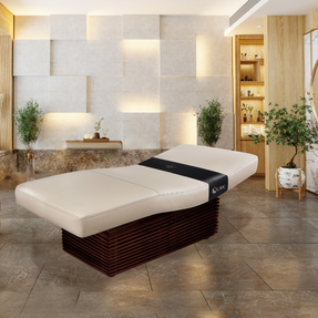 Living Earth Crafts Insignia 2.0 Modern™ Multi-purpose Treatment Table W/Replaceable Mattress