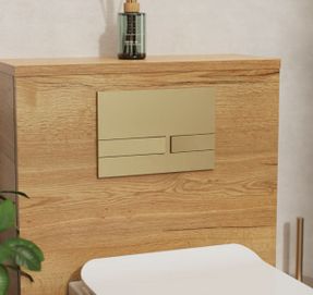 Crosswater Venue Flush Plate