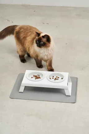 Miacara Desco Cat Feeder With Porcelain Bowls