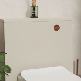 Crosswater Toilet Flush Button