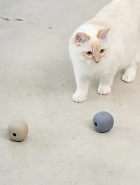 Miacara Rotolo Activity Toy