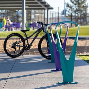 Anova Allure Bike Rack