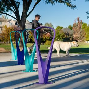 Anova Allure Bike Rack