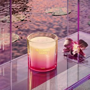 Cassina Home Fragrances Blooming Dawn Candles