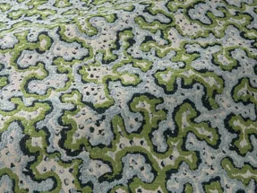 Pierre Frey Sinularia Fabric