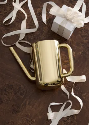 Skultuna Nurture Watering Can Design Ilse Crawford