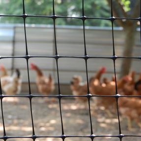 Tenax Cintoflex M Fences