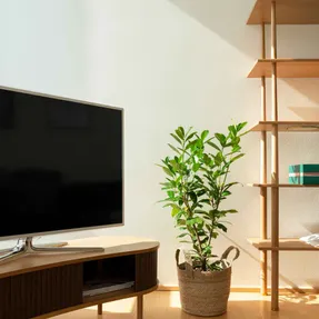 Umage Audacious TV Bench