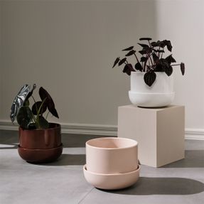 Iittala Nappula Plant Pot With Saucer Pale