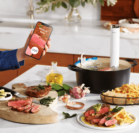 Breville The Joule™ Turbo Sous Vide