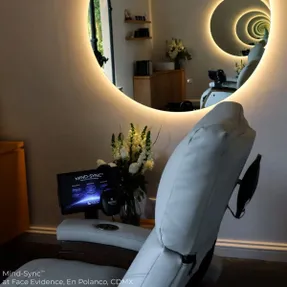 Living Earth Crafts Mind-Sync 2.0™ Harmonic Wellness Lounger