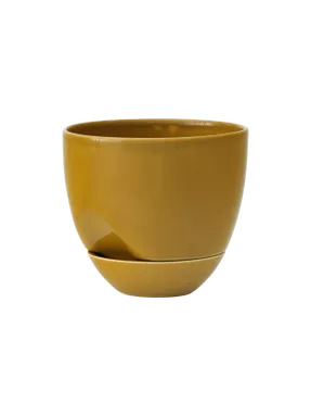 Audo Hydrous Planter