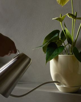 Audo Hydrous Planter