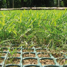 Tenax Tr Lawn Reinforcement Net