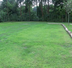 Tenax Tr Lawn Reinforcement Net