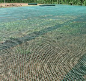 Tenax Tr Lawn Reinforcement Net