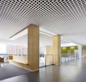 Apton Open Cell Ceiling AP 104