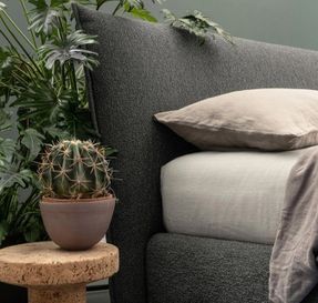 caccaro Toffee Bed