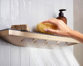 Hansgrohe Rainfinity Hand Shower 130 3jet