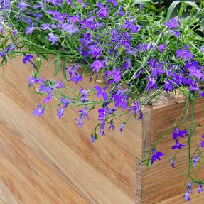 Countrycasualteak Studio Small Square Planter W/ Commercial-grade Liner