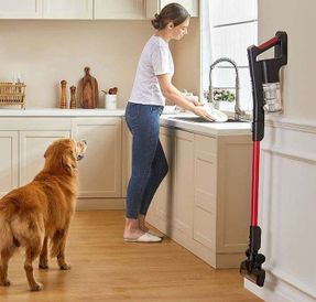 Eureka Lightspeed NEC101 – Stick Vacuum With Fast Charge & Turbo Suction