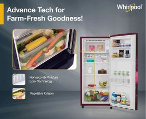 Whirlpool WDE 184L 2 Star Single Door Refrigerator with Handle - Wine Serena-Y