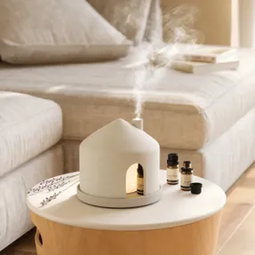 Umbra Casita Diffuser