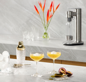 Breville The Infizz™ Fusion Co₂ Bundle Soda & Sparkling Water Makers