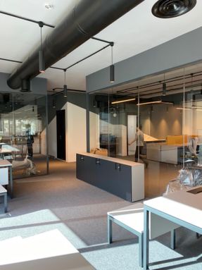 Apton Quartz Single Central Glazed Frameless Glass Partitioning