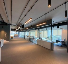 Apton Quartz Single Central Glazed Frameless Glass Partitioning