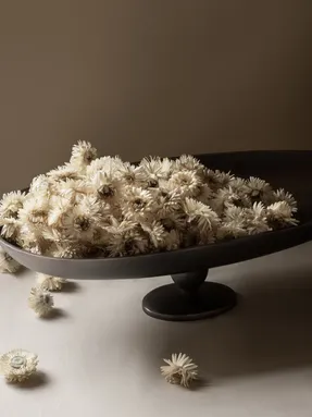 Audo Pavot Centerpiece Decorative objects