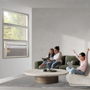 Panasonic 1.5 Ton 5 Star Inverter Premium Window AC