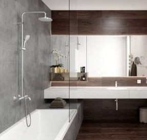Hansgrohe Vernis Blend Hand Shower 100 Vario Ecosmart