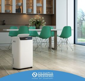 Olimpia Splendid Aquaria S1 12 P Dehumidifier