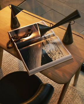 Tom Dixon Pose Portable Light