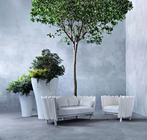 Serralunga Canisse Armchair