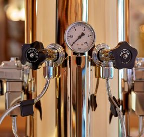 Bezzera Verticale Eagle Coffee Machine
